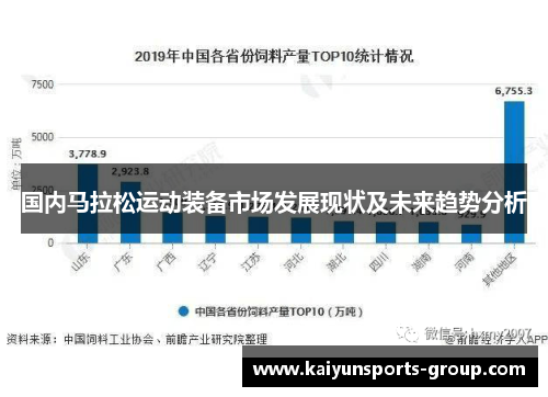 国内马拉松运动装备市场发展现状及未来趋势分析